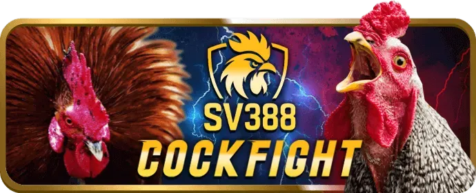 Giải thích Cookie và bảo vệ dữ liệu tại s88bet đăng nhập